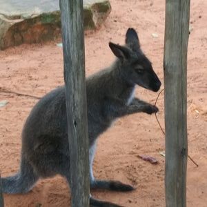 Meet your Posher, Francesca